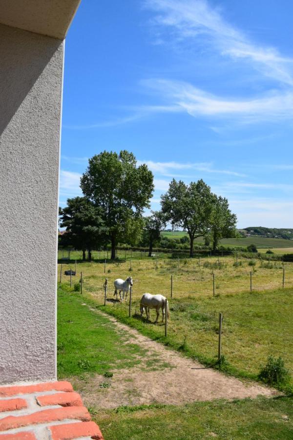 Le Clos De L'Angley Gites Et Ecurie Caffiers Bagian luar foto