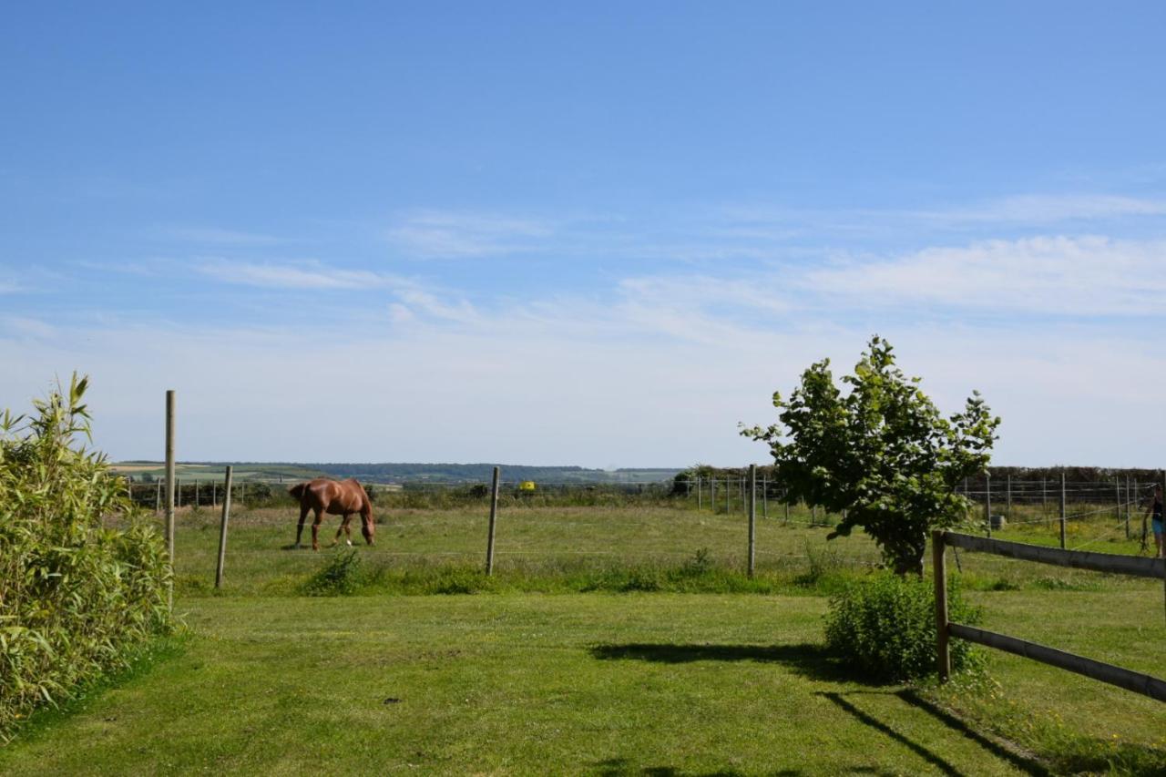 Le Clos De L'Angley Gites Et Ecurie Caffiers Bagian luar foto
