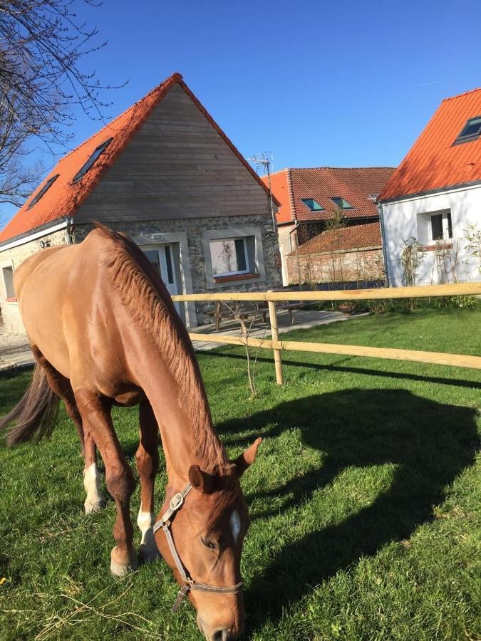 Le Clos De L'Angley Gites Et Ecurie Caffiers Bagian luar foto