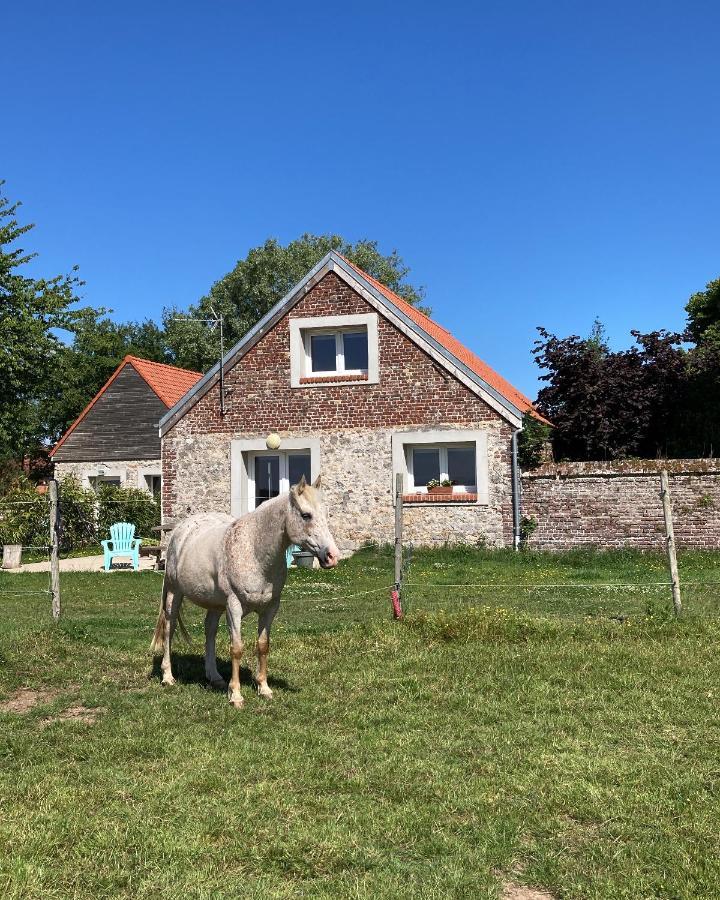 Le Clos De L'Angley Gites Et Ecurie Caffiers Bagian luar foto