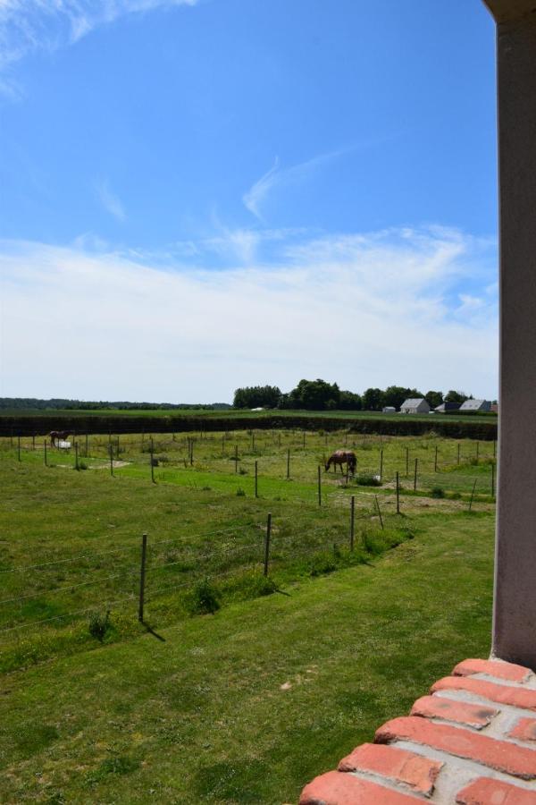 Le Clos De L'Angley Gites Et Ecurie Caffiers Bagian luar foto