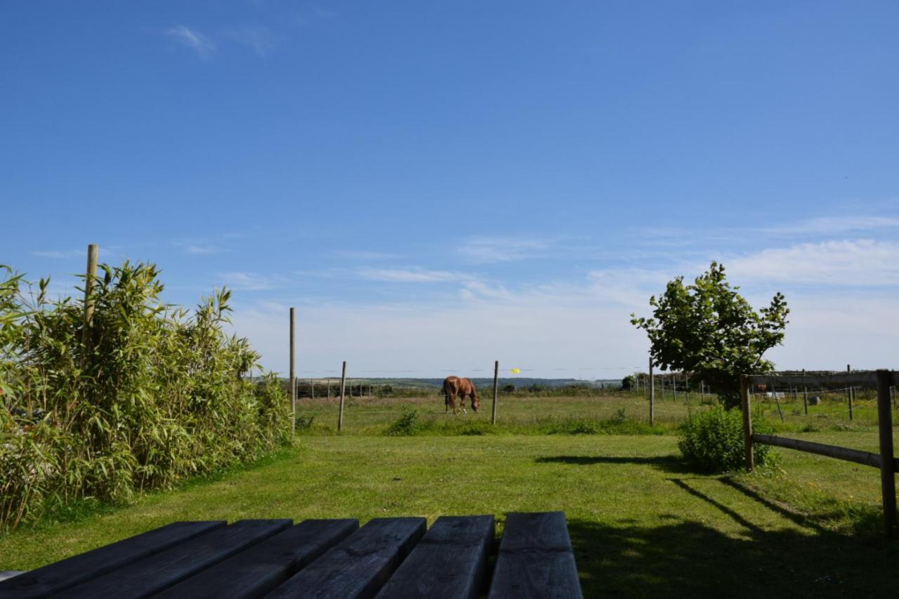 Le Clos De L'Angley Gites Et Ecurie Caffiers Bagian luar foto