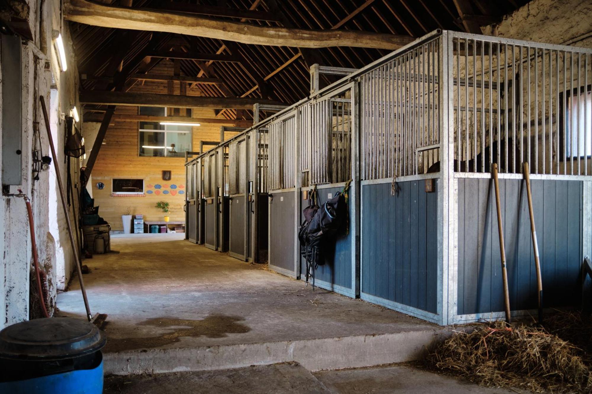 Le Clos De L'Angley Gites Et Ecurie Caffiers Bagian luar foto