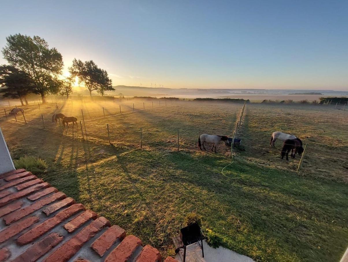 Le Clos De L'Angley Gites Et Ecurie Caffiers Bagian luar foto